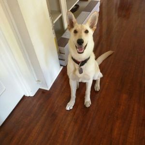 Meet your Posher, Laila